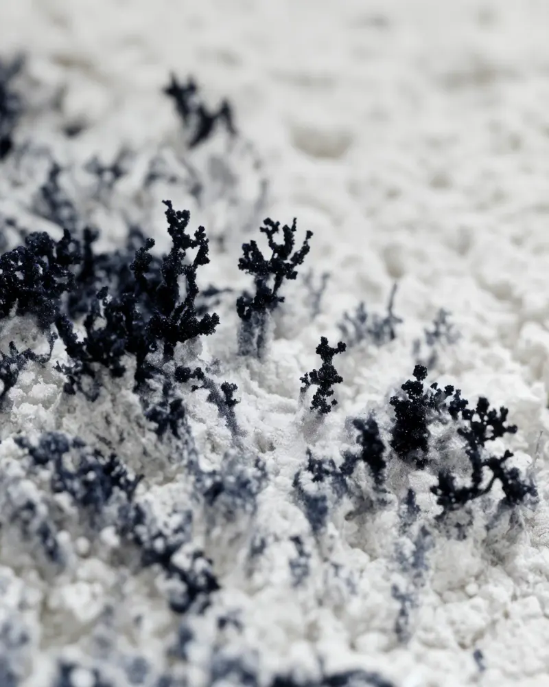 Fractal Eruption by Walid Aziz Basharyar