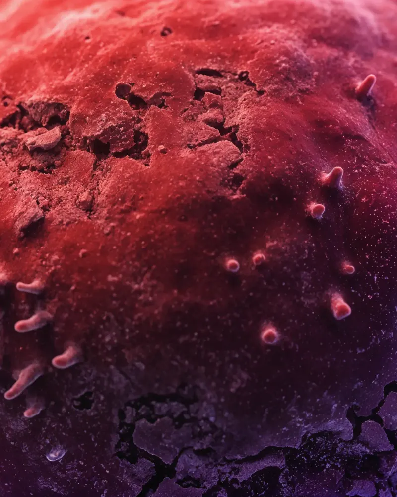 Cellular Nodes by Walid Aziz Basharyar