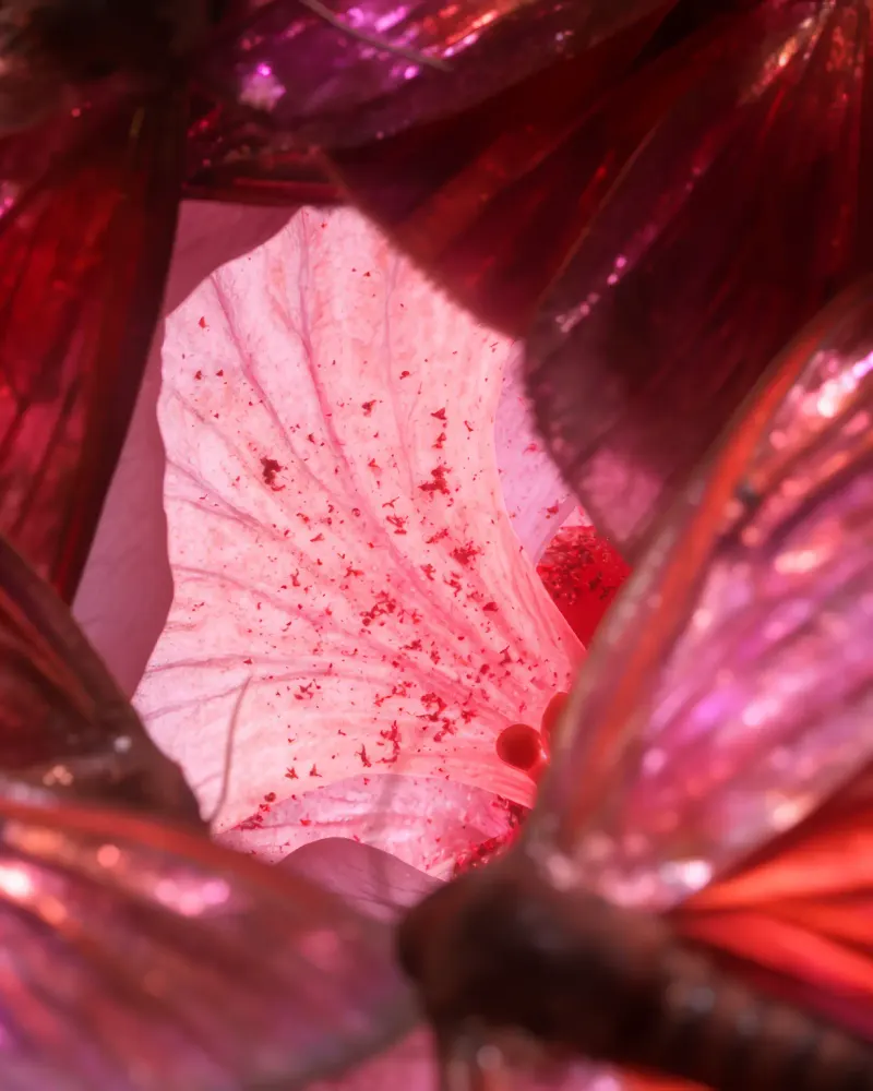 Layered Botanical Core by Walid Aziz Basharyar